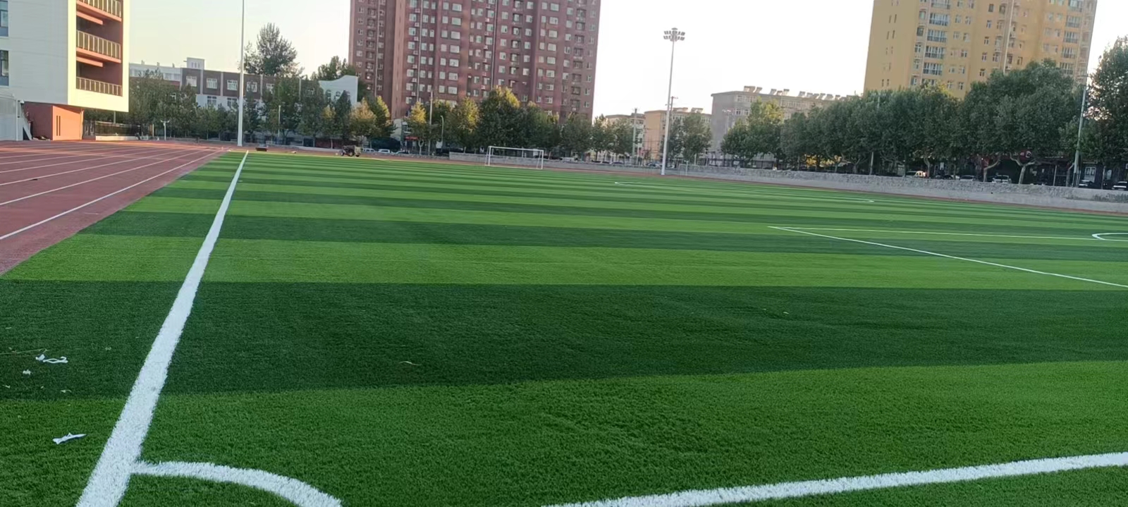 1667979981160673.jpg 2d2f933b95db0abd8f495236c478fd4.jpg