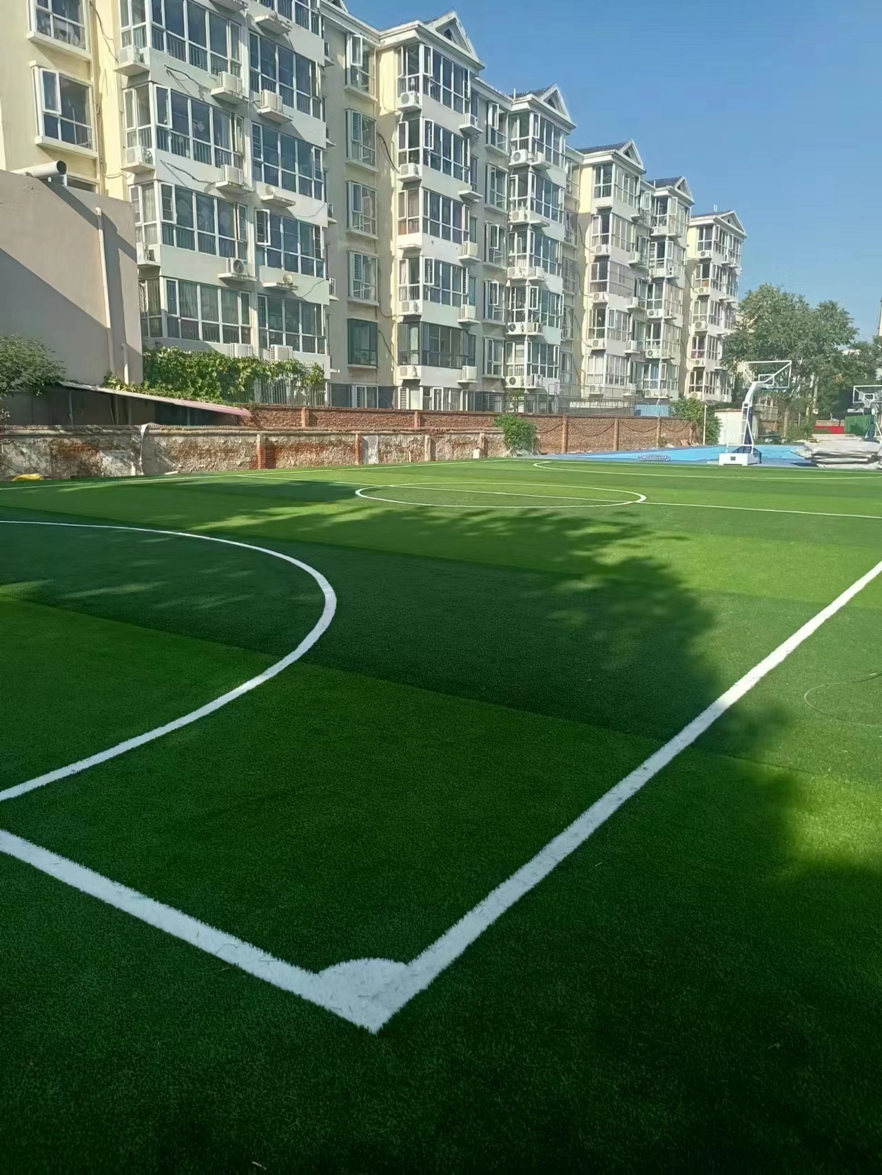 1667981587416009.jpg 6022b472dc151cdf61e804ed4e0fa55.jpg