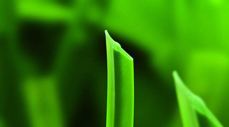 1673148989110794.jpg v1.jpg