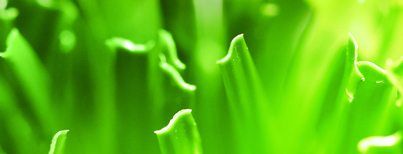 1673160954829707.jpg 1.jpg