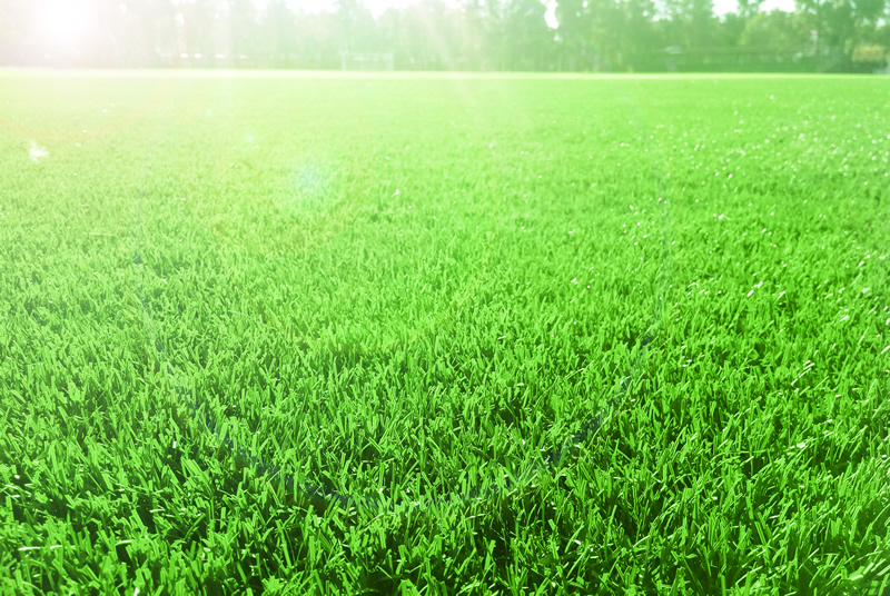 1673160969297799.jpg 4.jpg